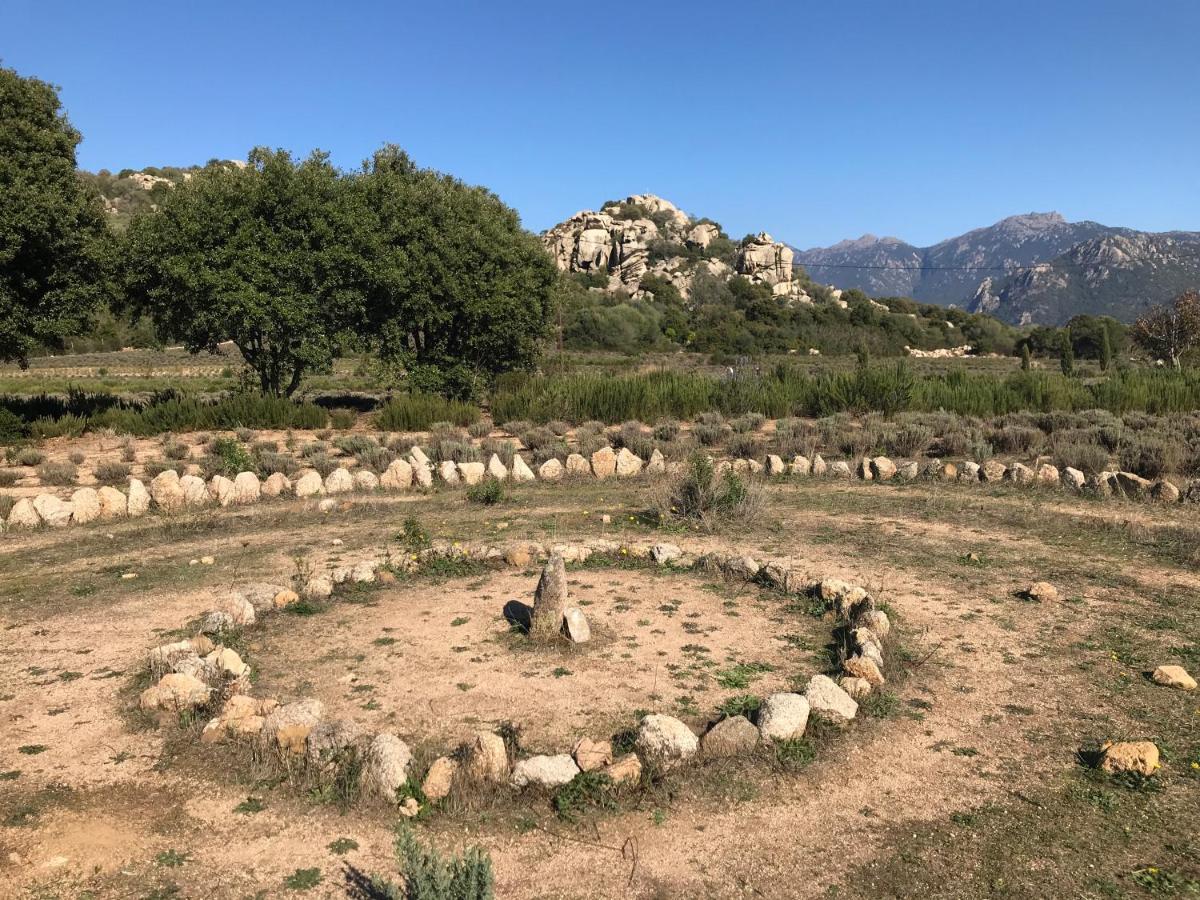 Villas Valinco San Martinu Corse du Sud - vue et proche mer - piscines privées Olmeto  Extérieur photo