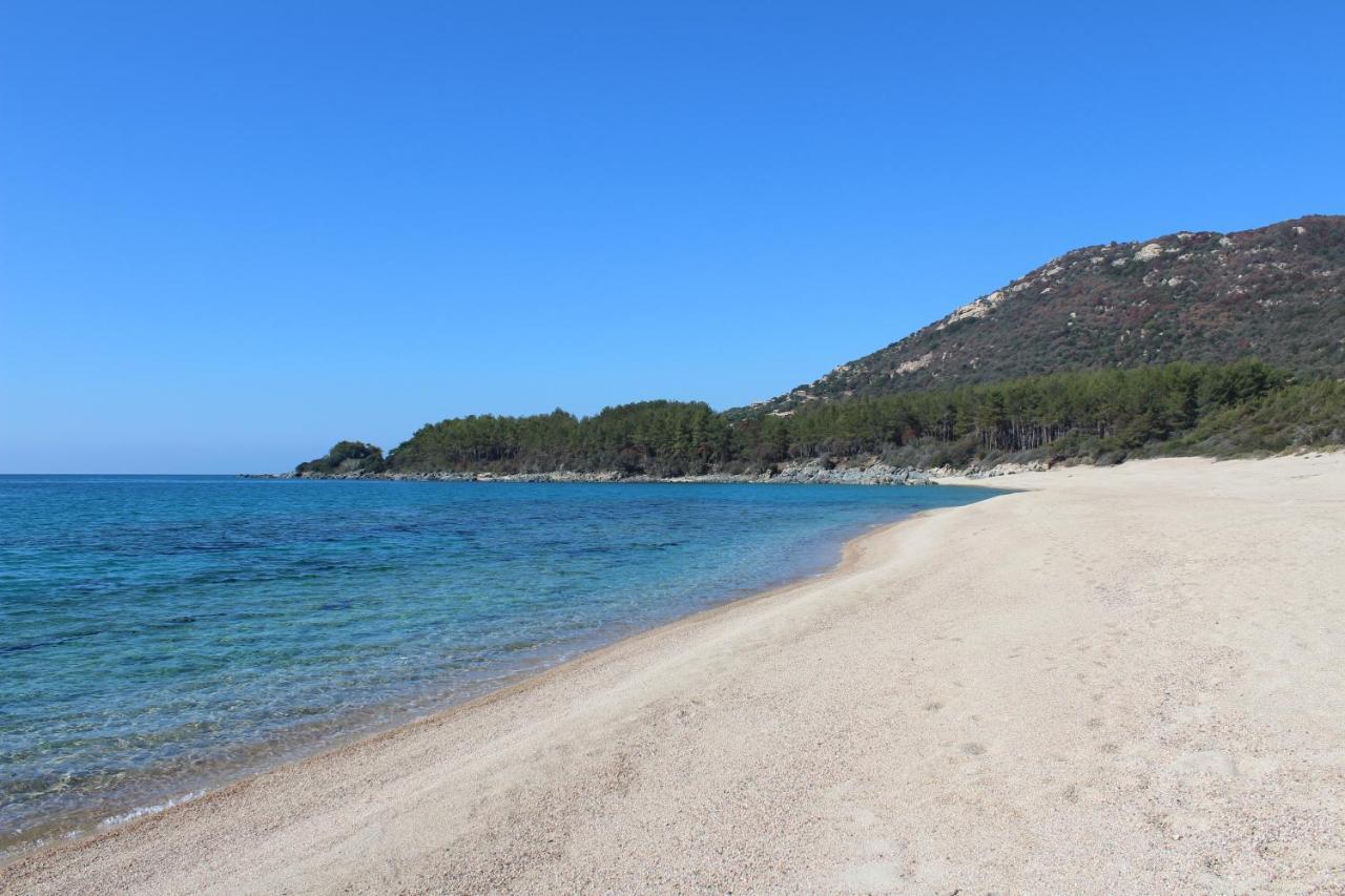 Villas Valinco San Martinu Corse du Sud - vue et proche mer - piscines privées Olmeto  Extérieur photo