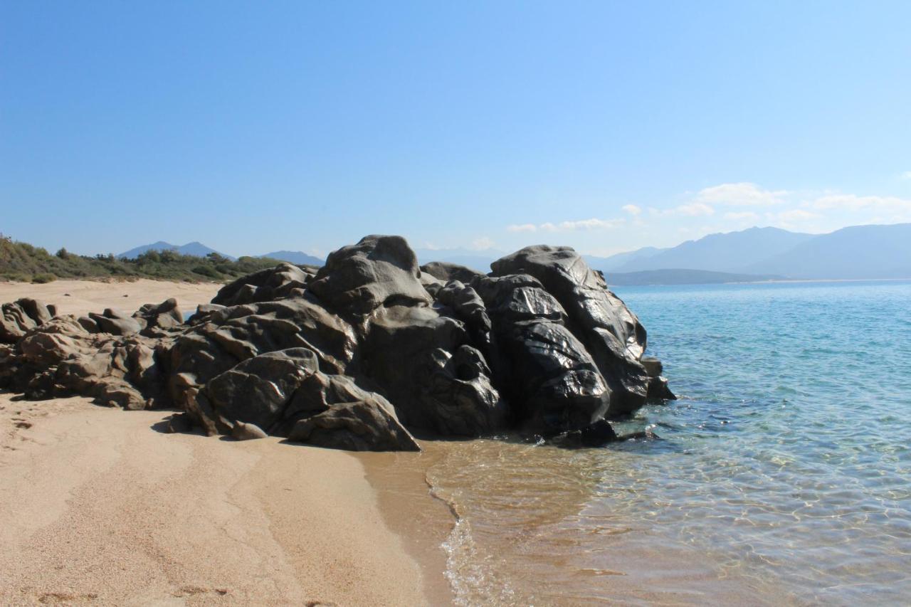 Villas Valinco San Martinu Corse du Sud - vue et proche mer - piscines privées Olmeto  Extérieur photo