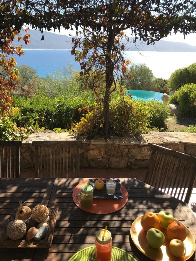 Villas Valinco San Martinu Corse du Sud - vue et proche mer - piscines privées Olmeto  Extérieur photo