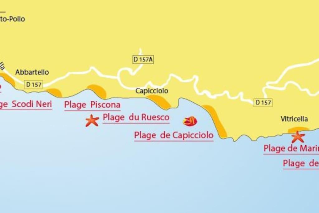 Villas Valinco San Martinu Corse du Sud - vue et proche mer - piscines privées Olmeto  Extérieur photo